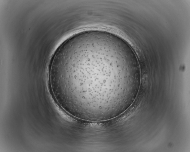 X0000100931523200807011209