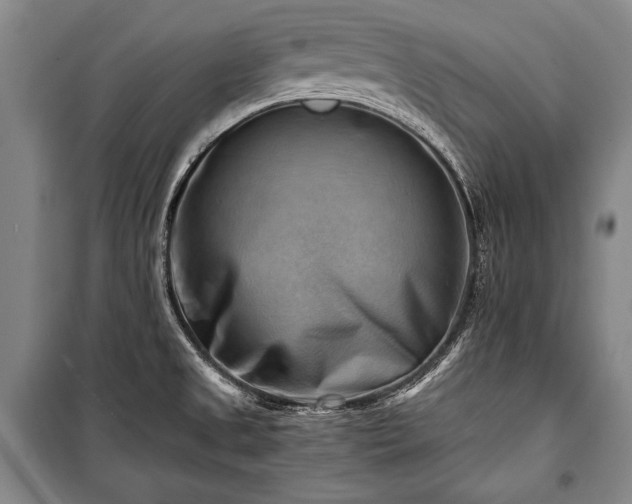 X0000100931525200807011209