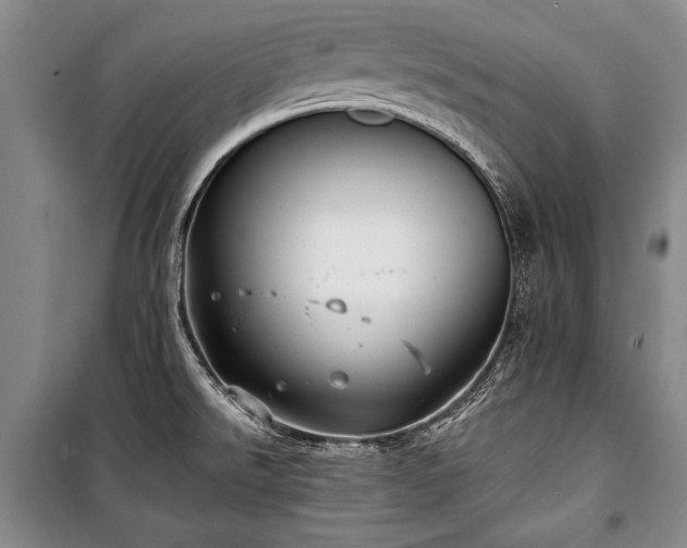 X0000100931526200807011209