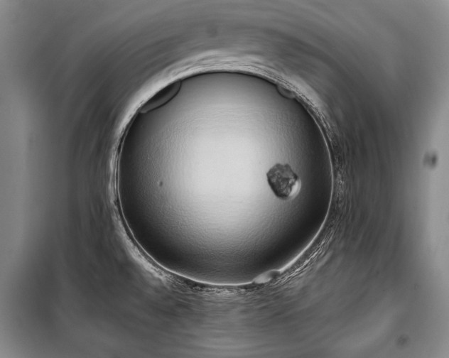 X0000100931528200807011209