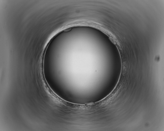 X0000100931530200807011209