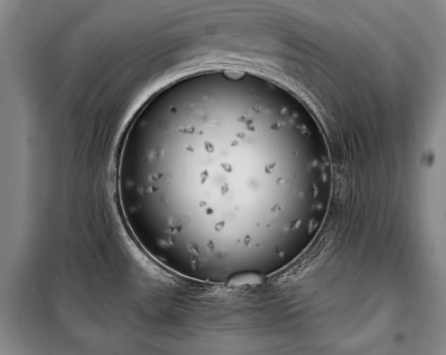 X0000100931531200807011209
