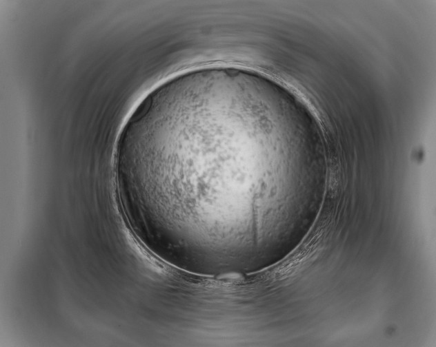 X0000100931532200807011209