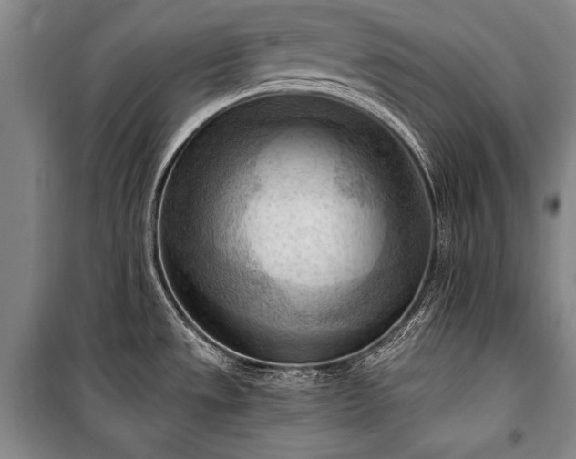 X0000100931533200807011209