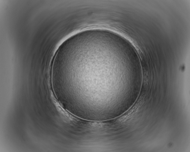 X0000100931534200807011209