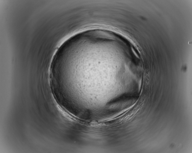 X0000100931535200807011209