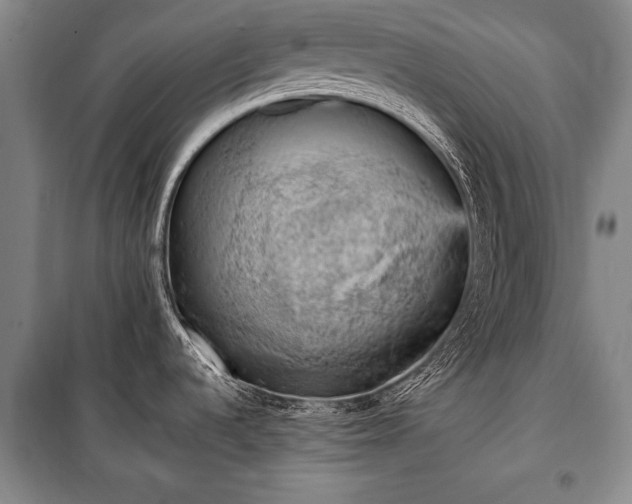 X0000100931536200807011209