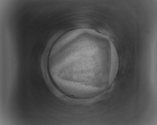 X0000100930001200807081223