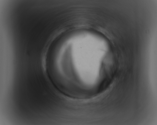 X0000100930002200807081223