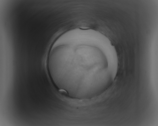 X0000100930003200807081223