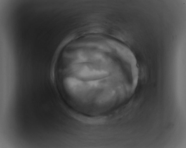 X0000100930004200807081223