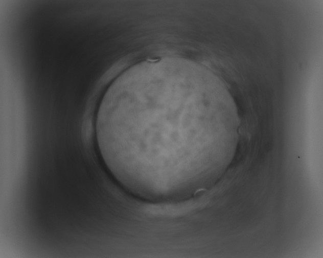 X0000100930005200807081223