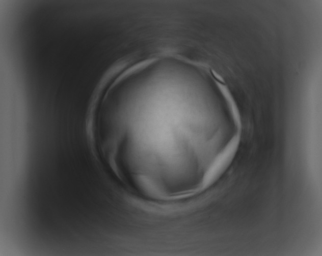 X0000100930006200807081223