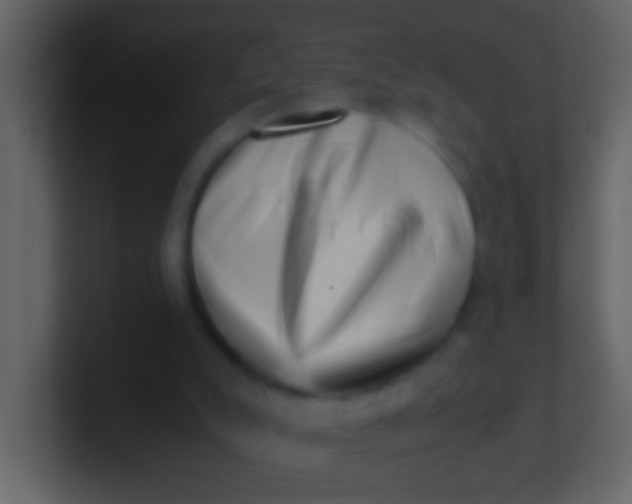 X0000100930007200807081223