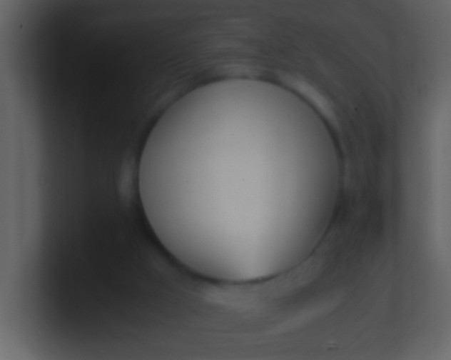 X0000100930009200807081223