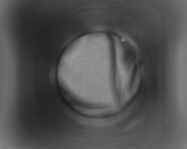 X0000100930010200807081223