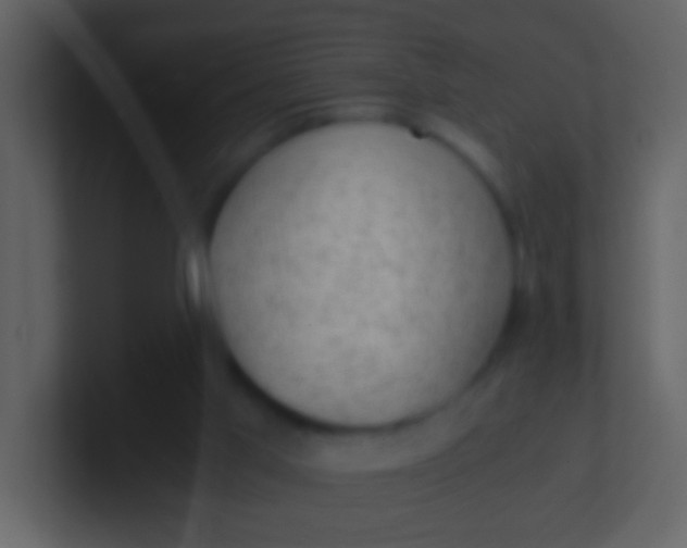 X0000100930013200807081223