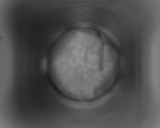 X0000100930014200807081223