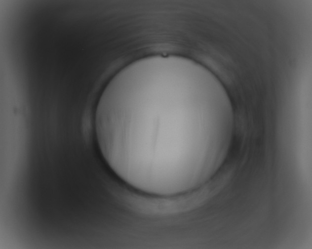 X0000100930015200807081223