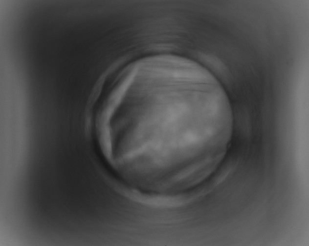 X0000100930016200807081223