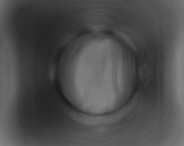 X0000100930018200807081223