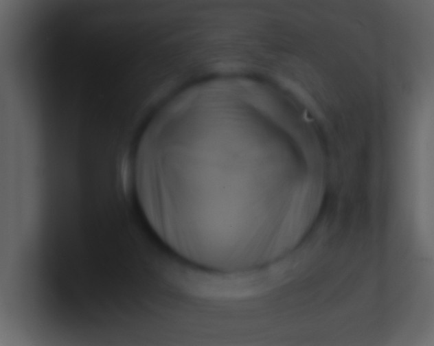 X0000100930019200807081223