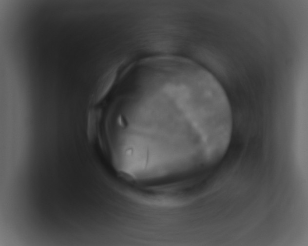 X0000100930020200807081223