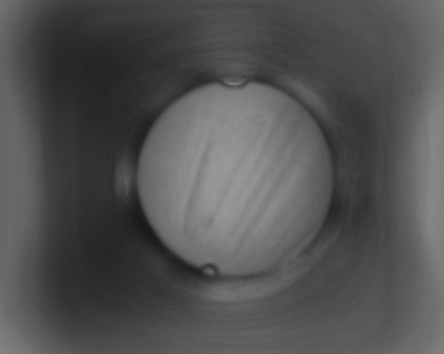 X0000100930021200807081223