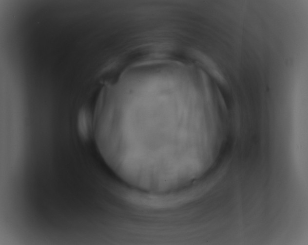 X0000100930022200807081223