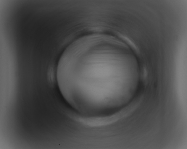 X0000100930023200807081222