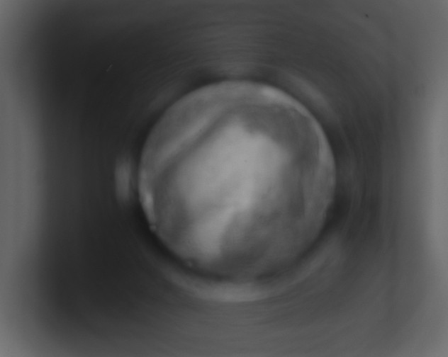 X0000100930024200807081222