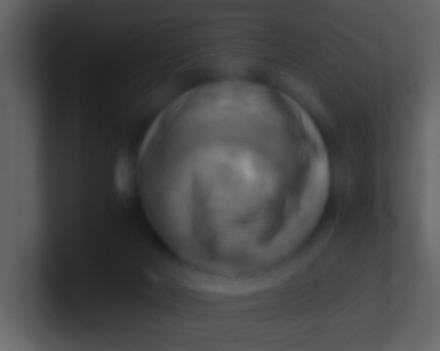 X0000100930026200807081222