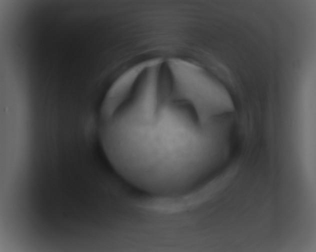 X0000100930029200807081222