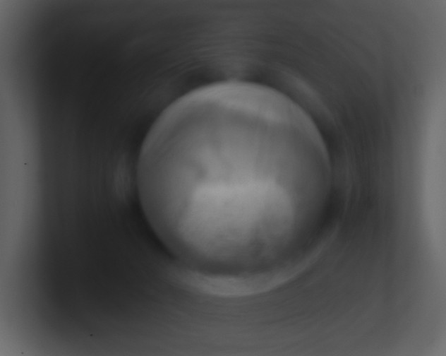 X0000100930030200807081222