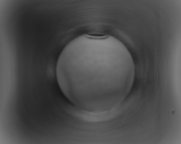 X0000100930035200807081222