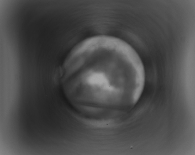 X0000100930036200807081222