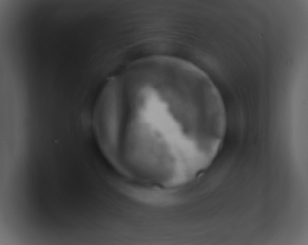 X0000100930040200807081222