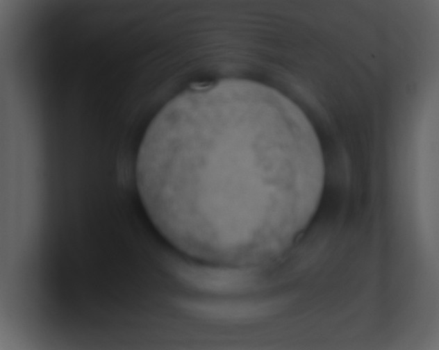 X0000100930044200807081222