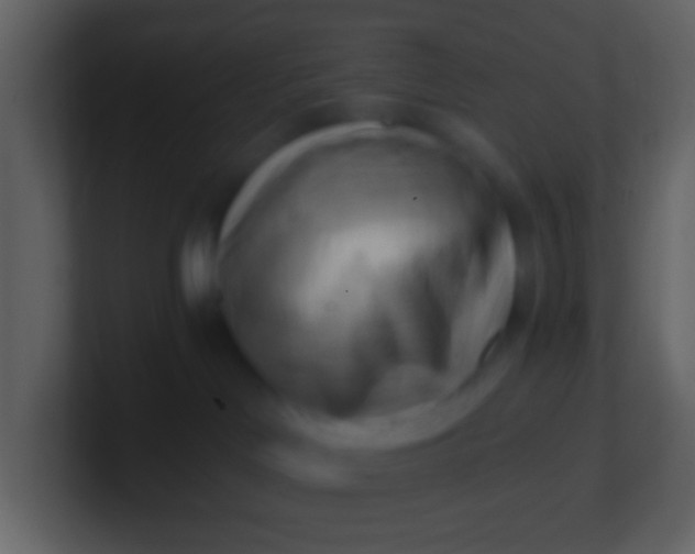 X0000100930046200807081222