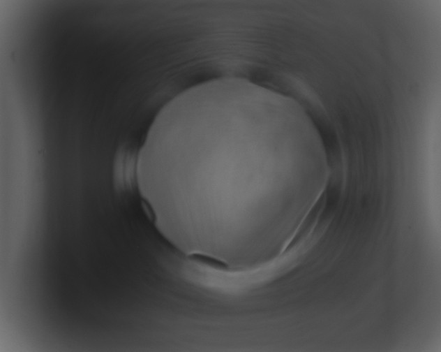 X0000100930047200807081222