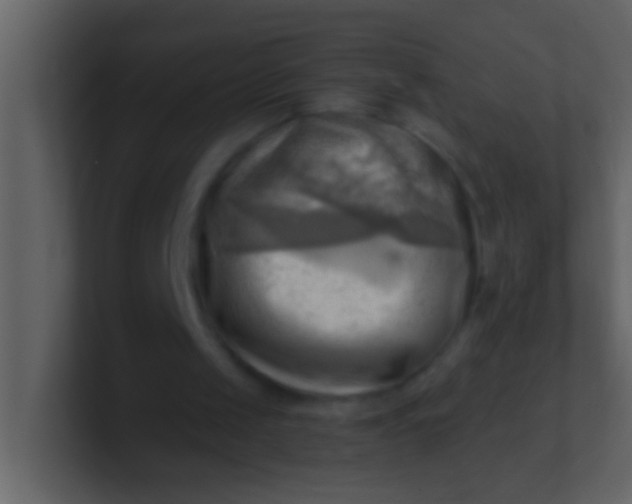 X0000100930049200807081221