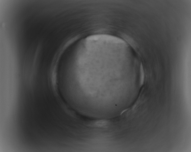 X0000100930050200807081221