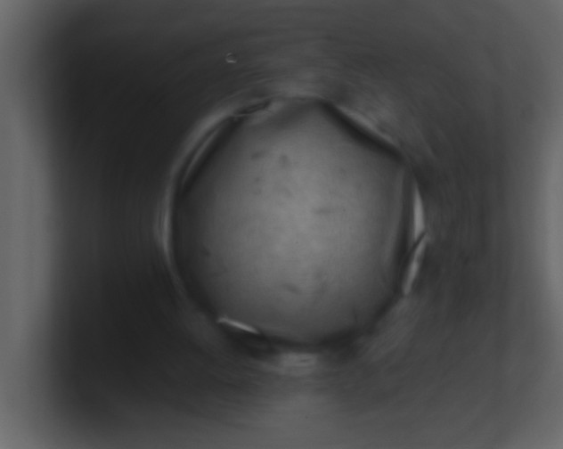 X0000100930052200807081221