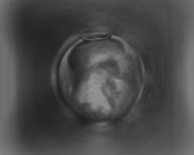 X0000100930054200807081222