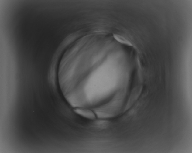 X0000100930055200807081222