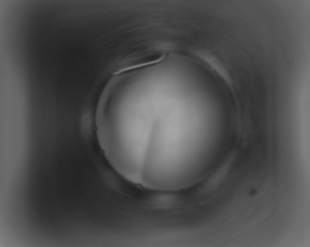 X0000100930057200807081222