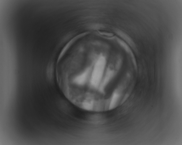 X0000100930058200807081222