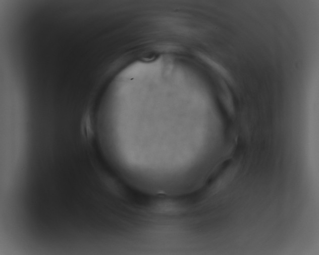 X0000100930062200807081222