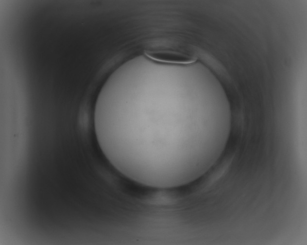 X0000100930064200807081222