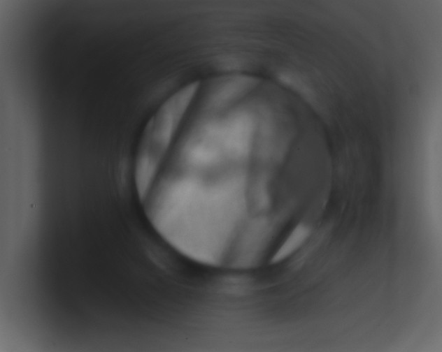 X0000100930066200807081222